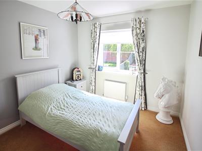 Picture 17
